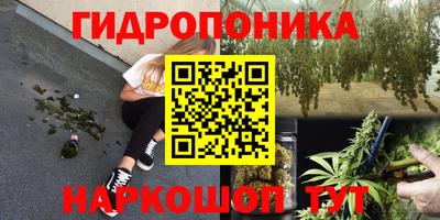 наркотики Кандалакша